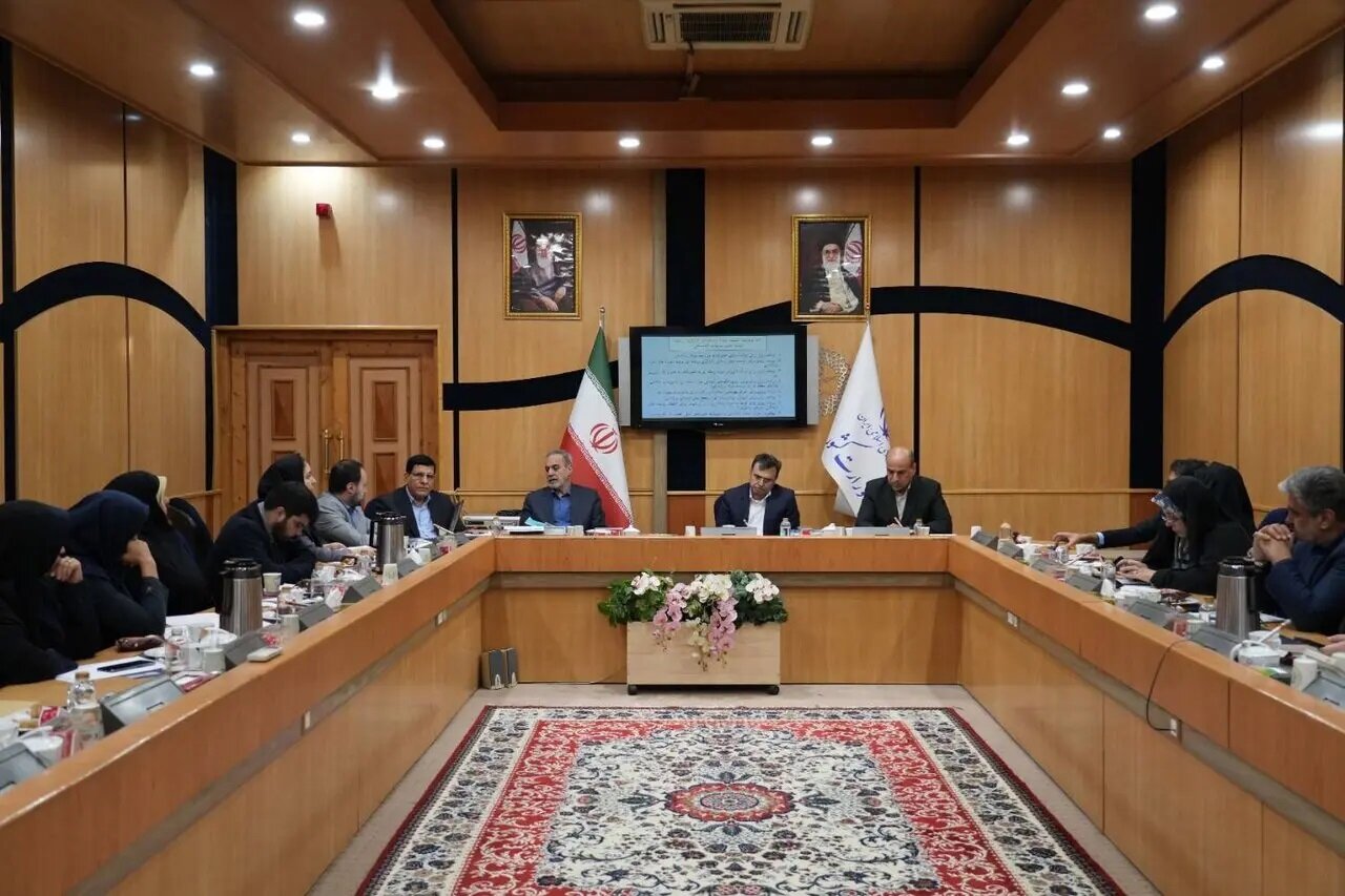 بطحایی: کارگروه توسعه سرمایه‌های اجتماعی کشور فعالیت خود را آغاز کرد